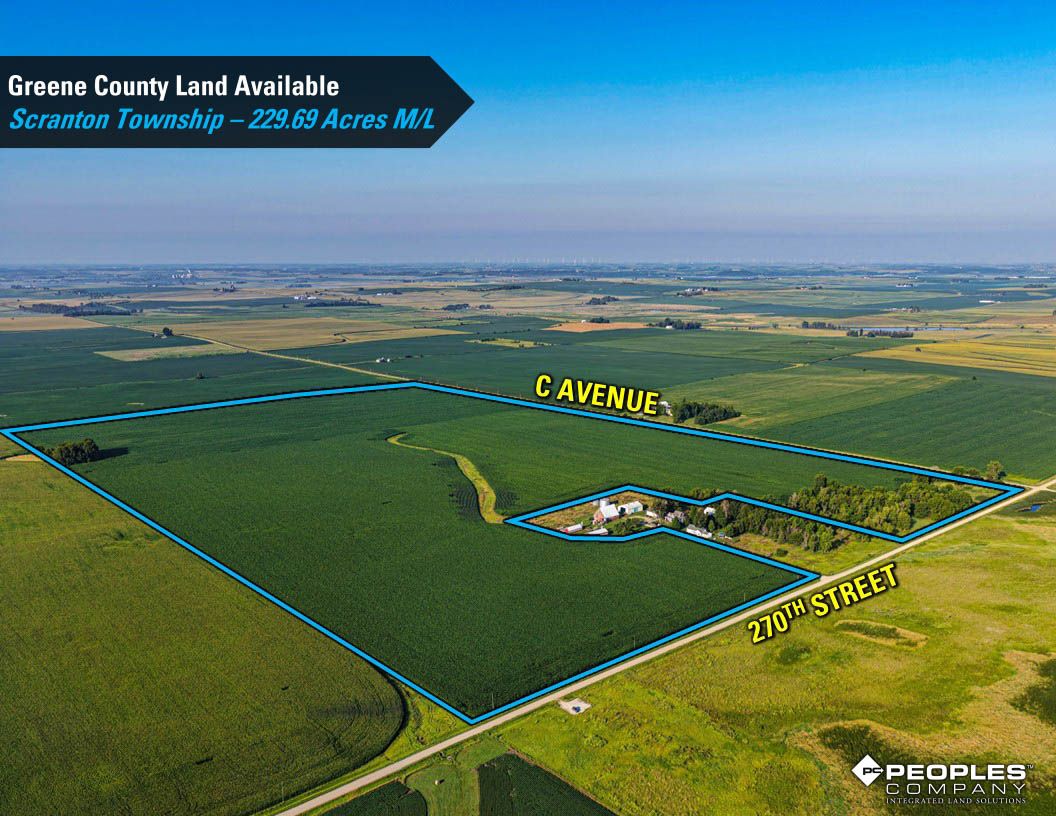Listing Photo: Greene-County-Iowa-Land-Available-Scranton-Iowa-229-Acres-19614 (19)